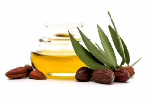 Jojoba Oil Golden (Cold Pressed) at Rs 1300/kilogram | Simmondsia Chinensis Oil, जॉबोबा का तेल, जोजोबा ऑयल, जोजोबा का तेल - Kanth Saanvi Essentials, New Delhi | ID: 21292385255