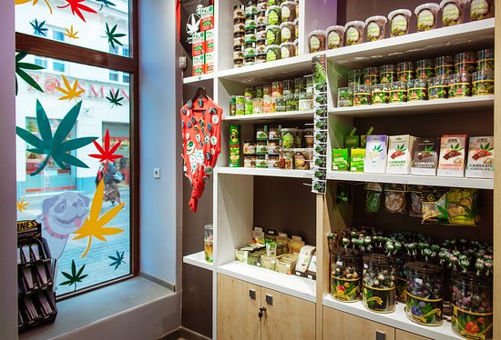 Weed and CBD oil in Warszaw - Review of Mops Coffeeshop - Cannabis Store, Warsaw, Poland - Tripadvisor