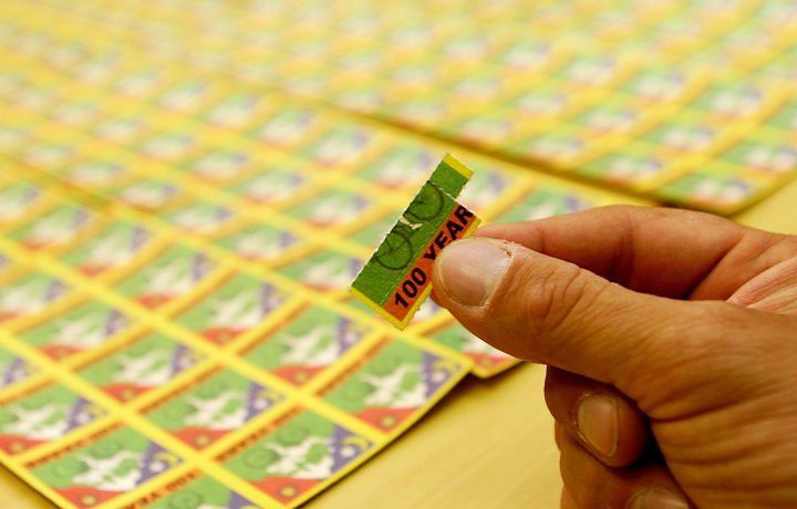 Trippymeds (trippymeds2050) - Profile | Pinterest